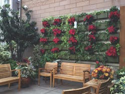 Live Wall Moss Rehab Green%20 Wall 2