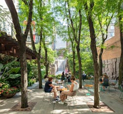 New Yorkers sitting at tables and chairs beneath a lush tree canopy with dappled light and a waterfall in the background