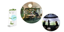 Midlife Metamorphosis phase three