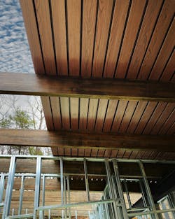 New Millennium Impressions