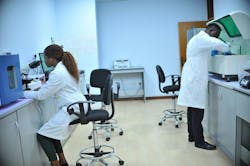 Image by SAMUEL GABRIEL from Pixabay Image by SAMUEL GABRIEL from Pixabay