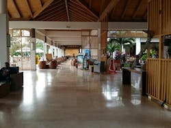 Image by 4BR from Pixabay