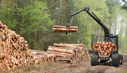 Photo &copy; Vladvitek | Dreamstime.com