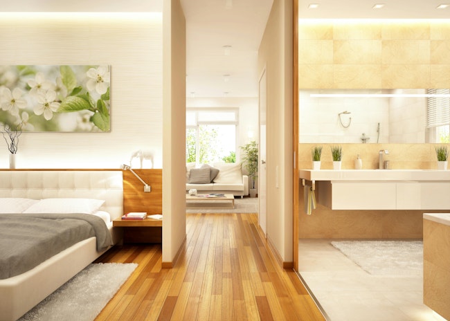 Modern large apartment with living room, bathroom and bedroom