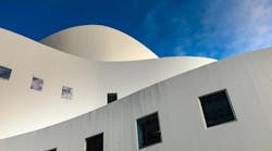 Image by Nico Franz from Pixabay