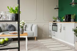 Empty green wall with copy space in elegant kitchen with white furniture,plants and coffee machine in stylish small micro-apartment with grey couch Empty green wall with copy space in elegant kitchen with white furniture,plants and coffee machine in stylish small micro-apartment with grey couch