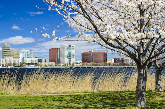 Cambridge, Massachusetts skyline in the spring.