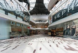 Image by Michal Jarmoluk from Pixabay