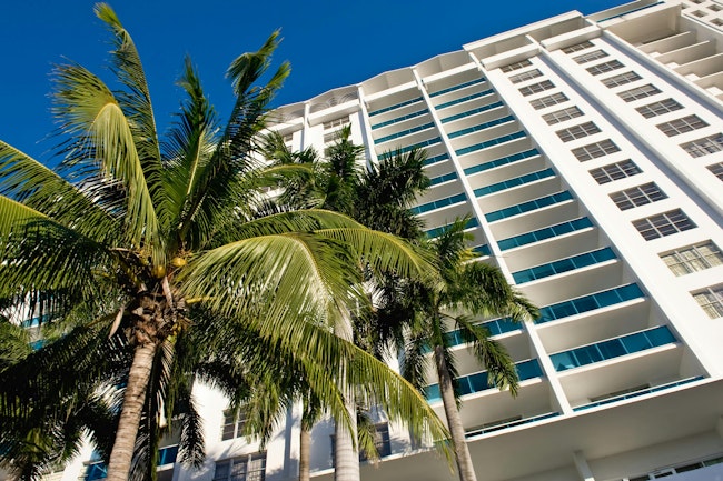 Miami condominium. Low angle view of condominium with palm tree in foreground, Florida, U. S. A.