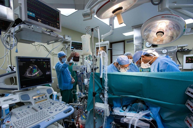 Image by Ahmad Ardity from Pixabay