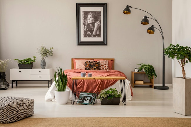 king size bed with rust color bedding in spacious bedroom interior of modern apartment, real photo