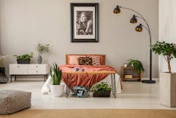 king size bed with rust color bedding in spacious bedroom interior of modern apartment, real photo